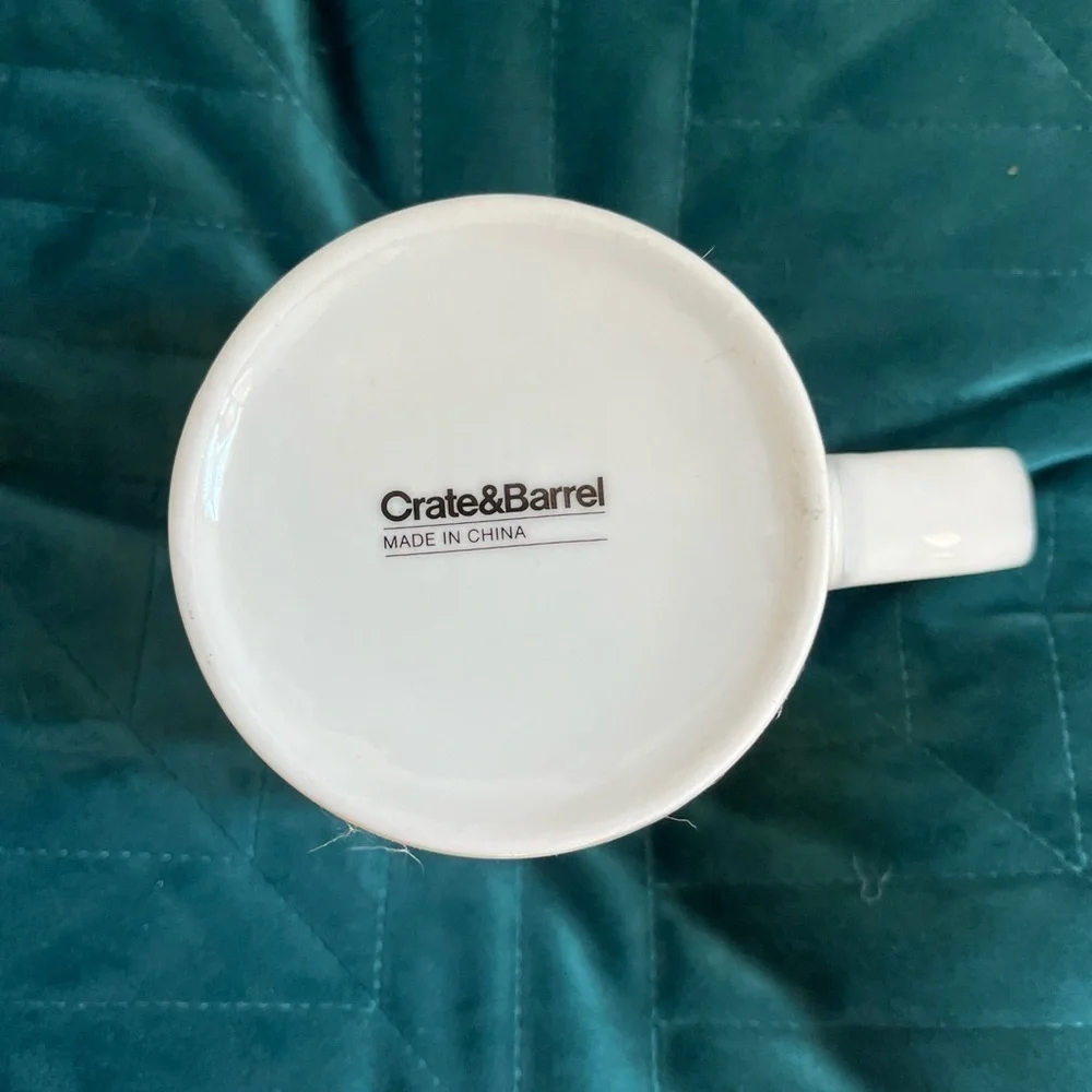 Crate & Barrel Coffee Mug Brushstroke Yellow And Green 16oz Cup Tea